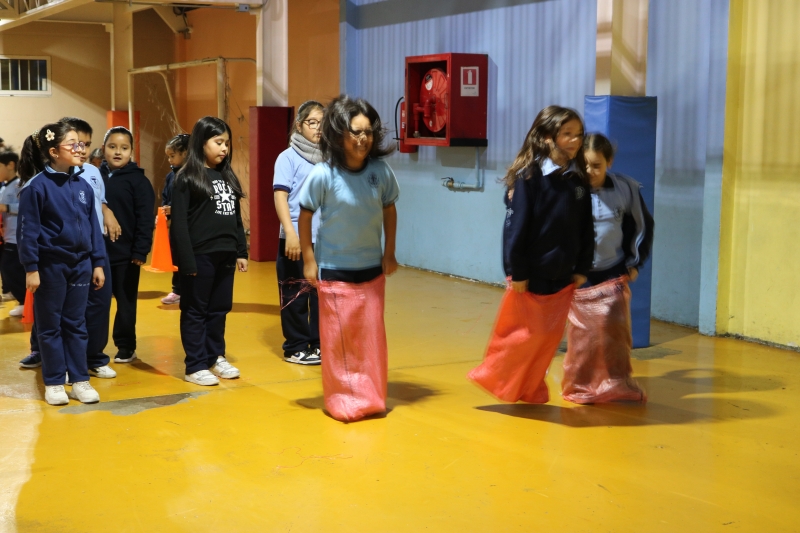 Día de la Actividad Física